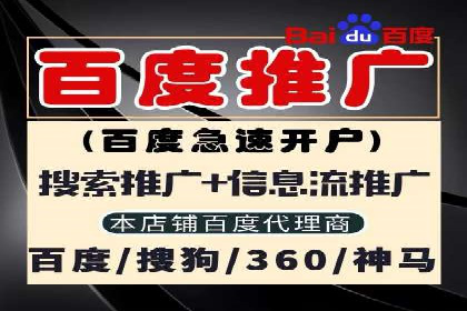 百度竞价代理全攻略：成功案例分享